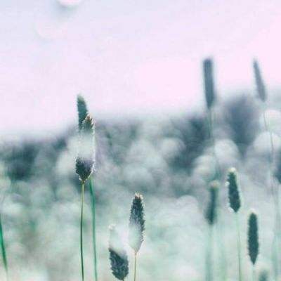 彩8官网入口·官方网站